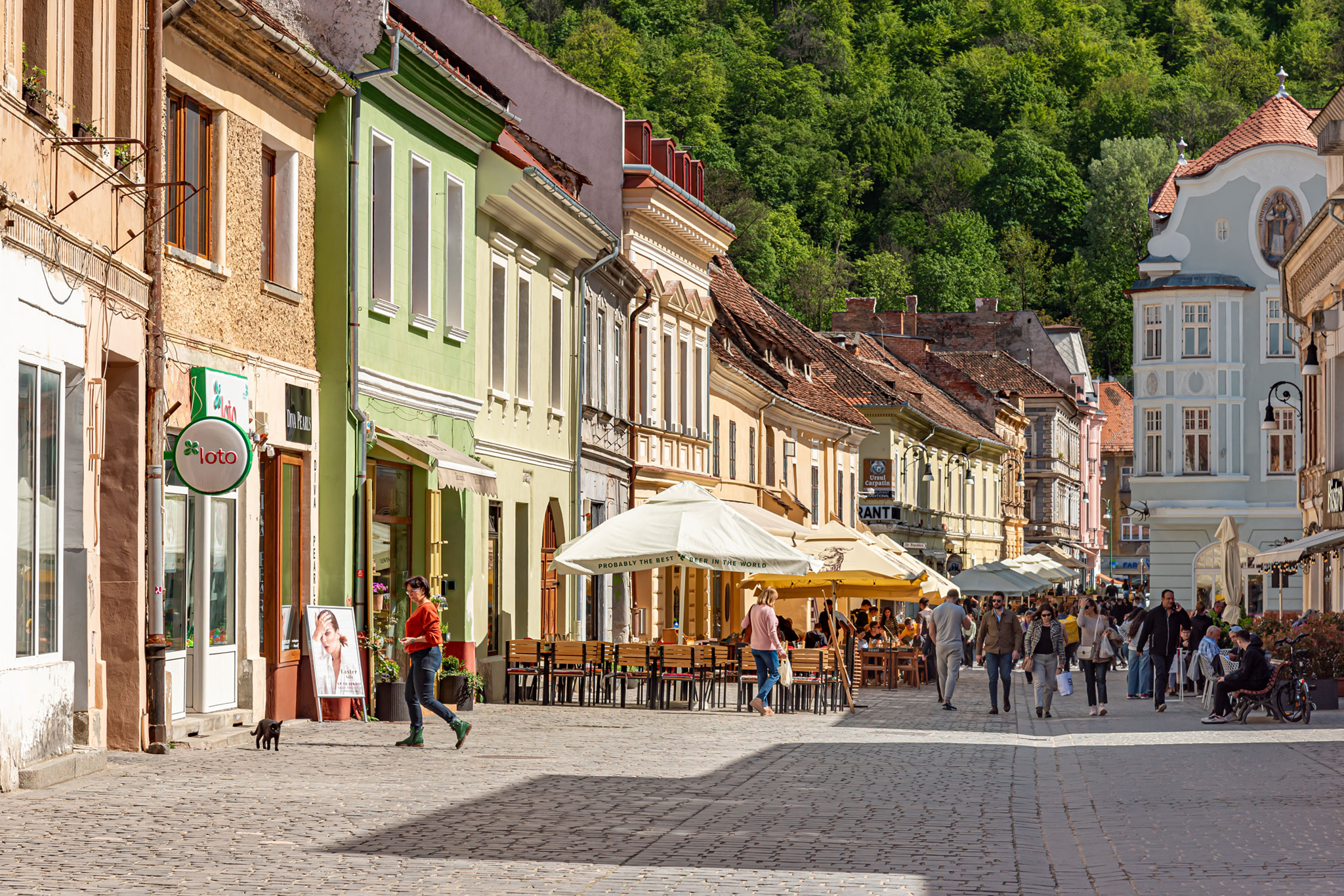 Brașov, Transylvania
